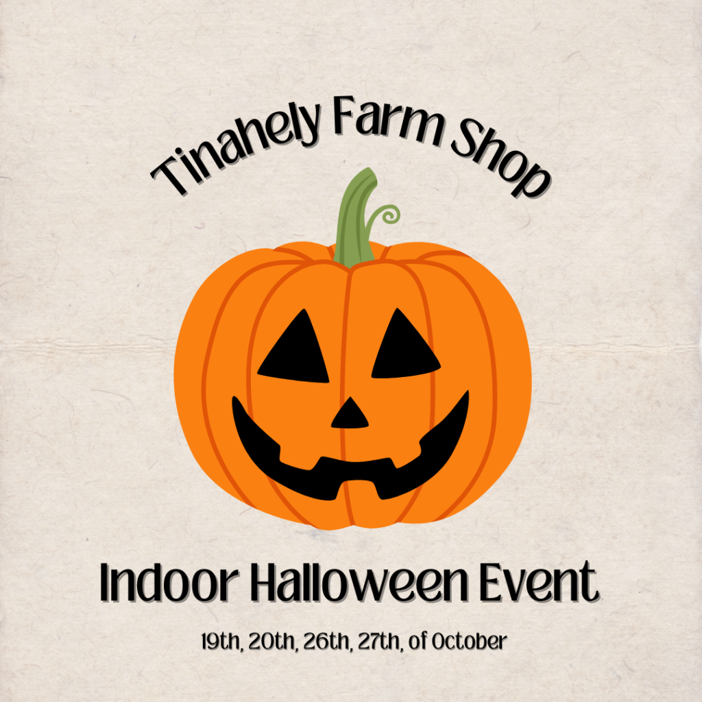 Indoor Pumpkin Picking 2024 Tinahely Farm Shop